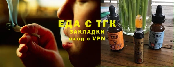 индика Каменногорск