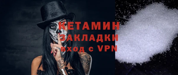 индика Каменногорск