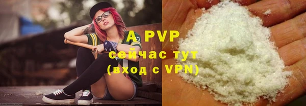 прущие крисы Зеленокумск