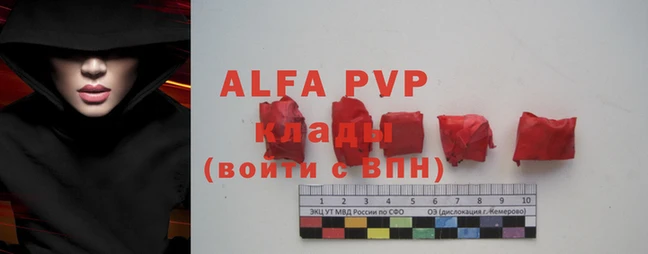 индика Каменногорск