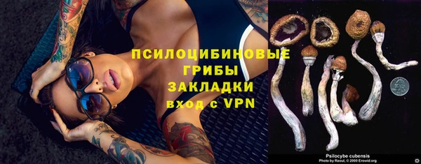 прущие крисы Зеленокумск