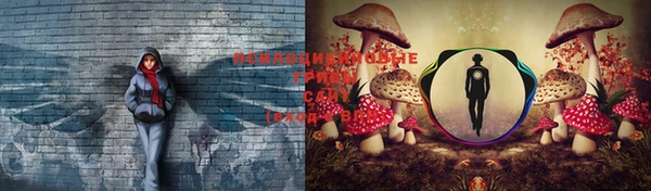 МДПВ Зеленодольск