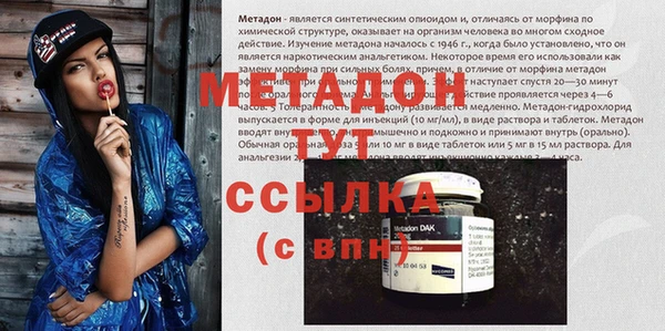 индика Каменногорск