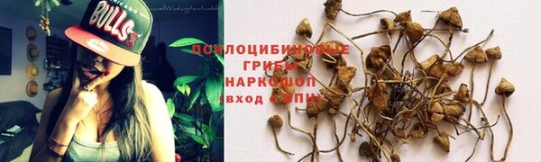 мескалин Каменка
